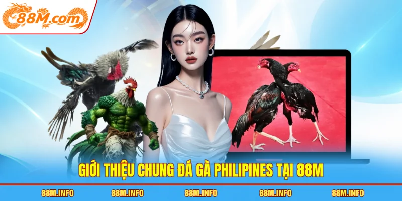 Giới thiệu chung đá gà Philipines tại 88M
