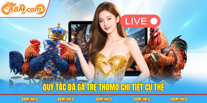 Quy tắc đá gà tre Thomo chi tiết cụ thể