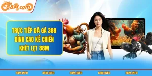 trực tiếp đá gà 388